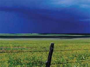 DangerousWeather