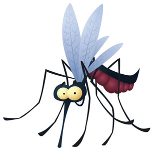 Don't Bug Me