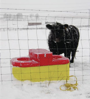 Go For The Winners Ritchie Cow Waterer