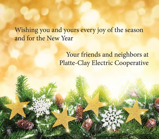 joy of the season and happy new year