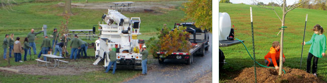 platte-clay tree planting