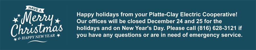 Merry Christmas Banner