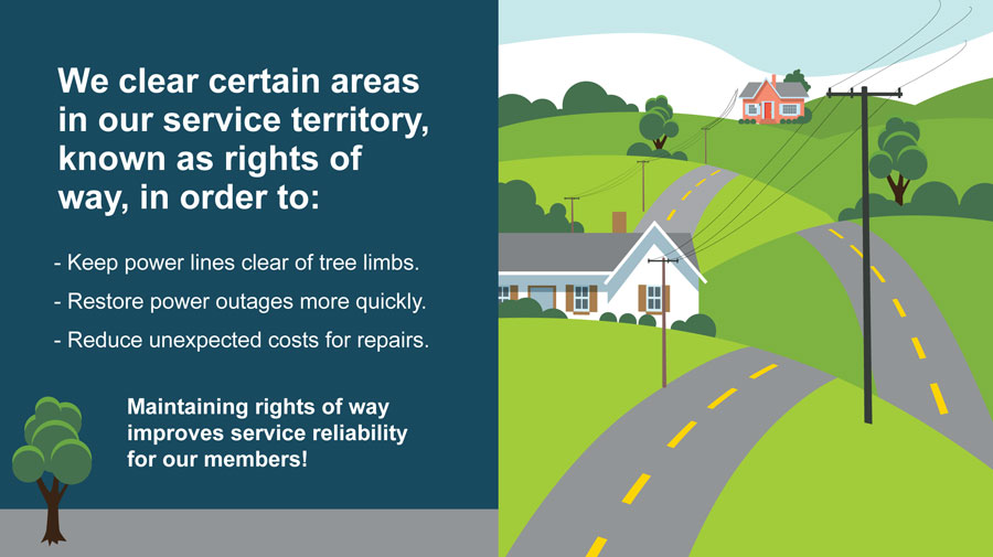 Keep Power Lines Clear Of Tree Limbs