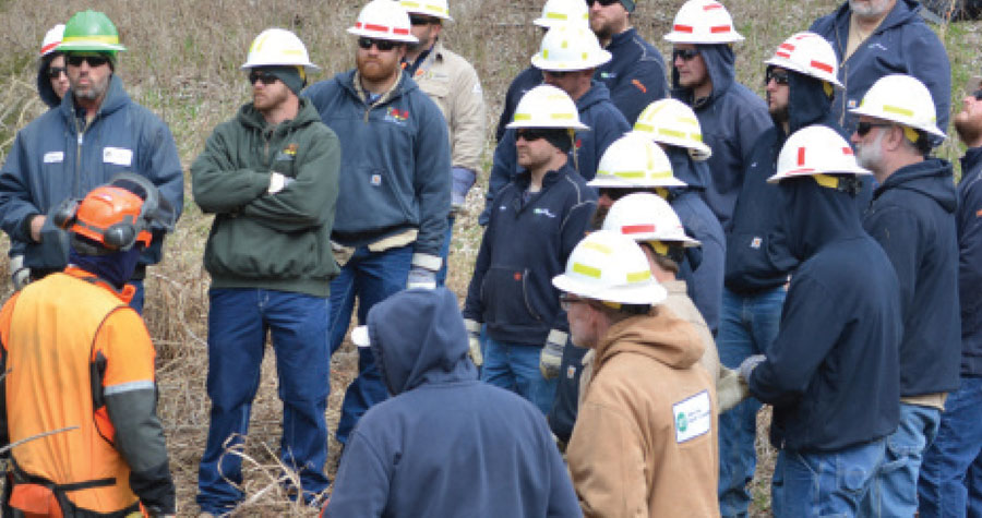 Tree Trimming Chainsaw Training