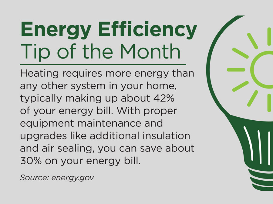 Energy Efficiency Tip Of The Month