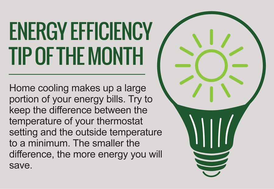 Energy Efficiency Tip Of The Month