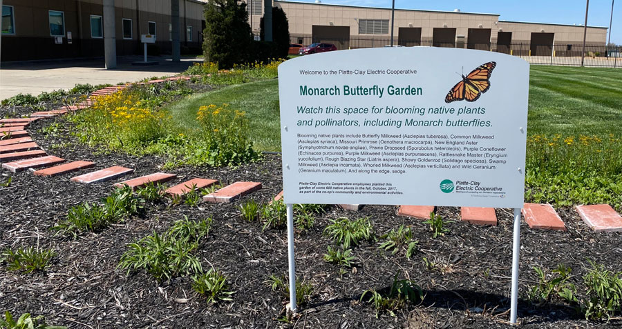 Monarch Butterfly Garden