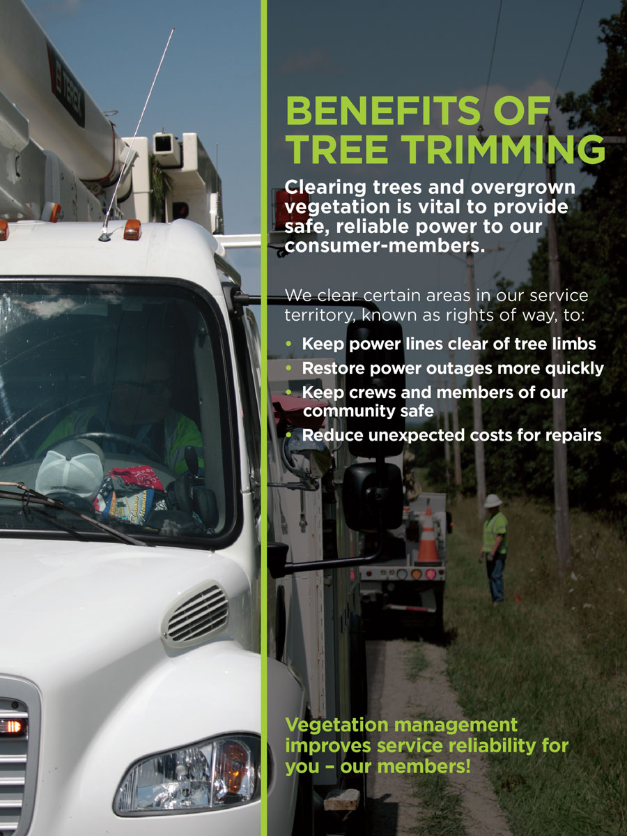 Benefits of Tree Trimming