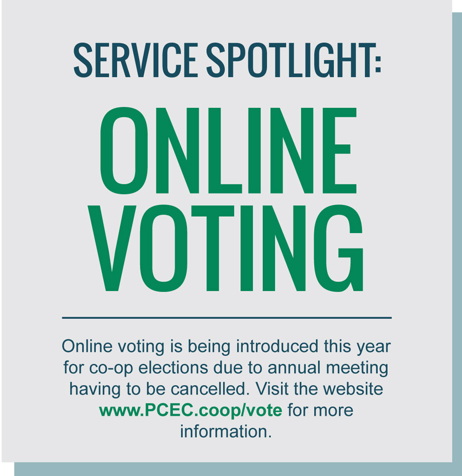 Service Spotlight Online Voting
