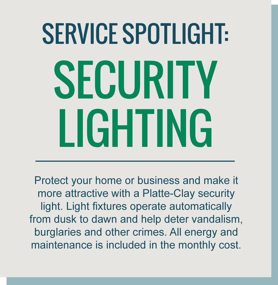 Service Spotlight Security Lighting