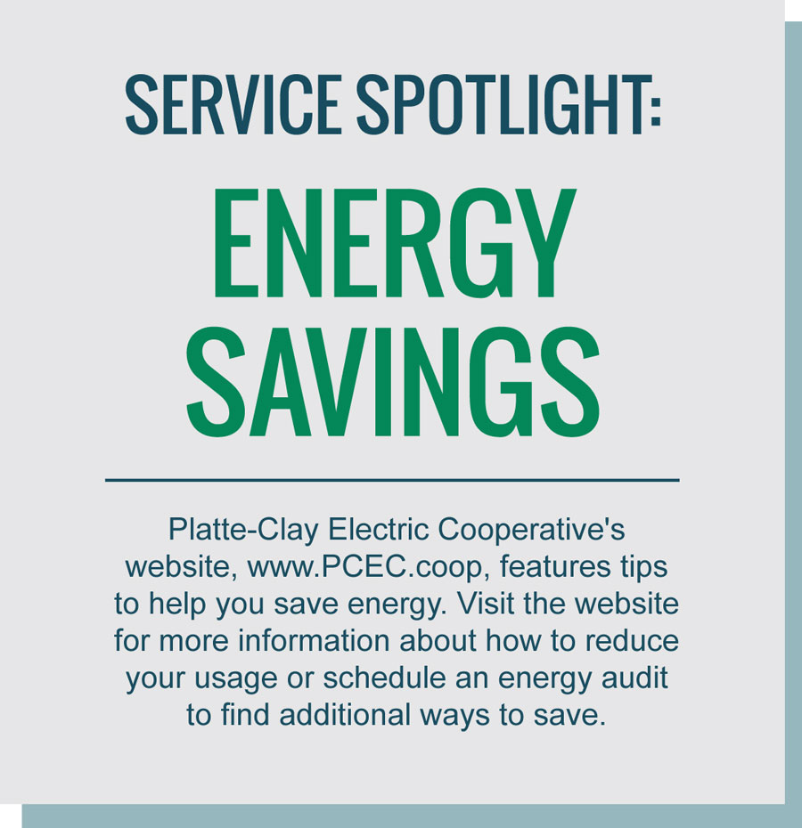Service Spotlight Energy Savings