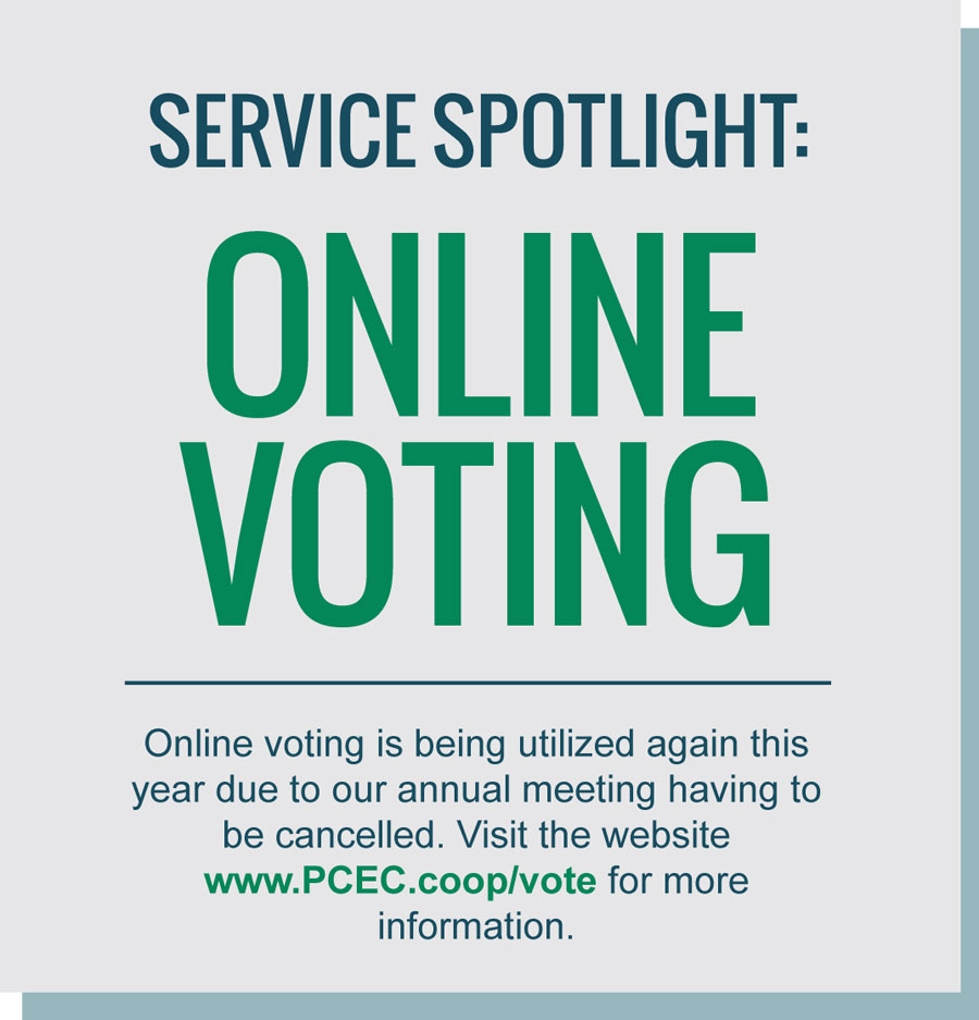 Service Spotlight Online Voting