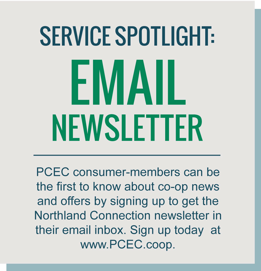 Service Spotlight Email Newsletter