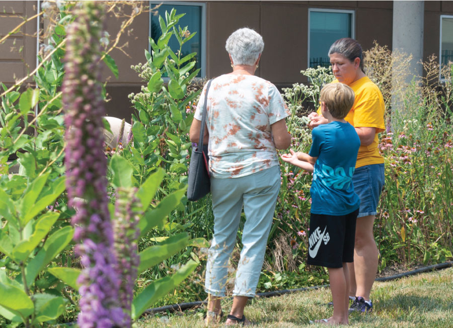 Conservation Lessons Bloom in Platte-Clay Butterfly Garden