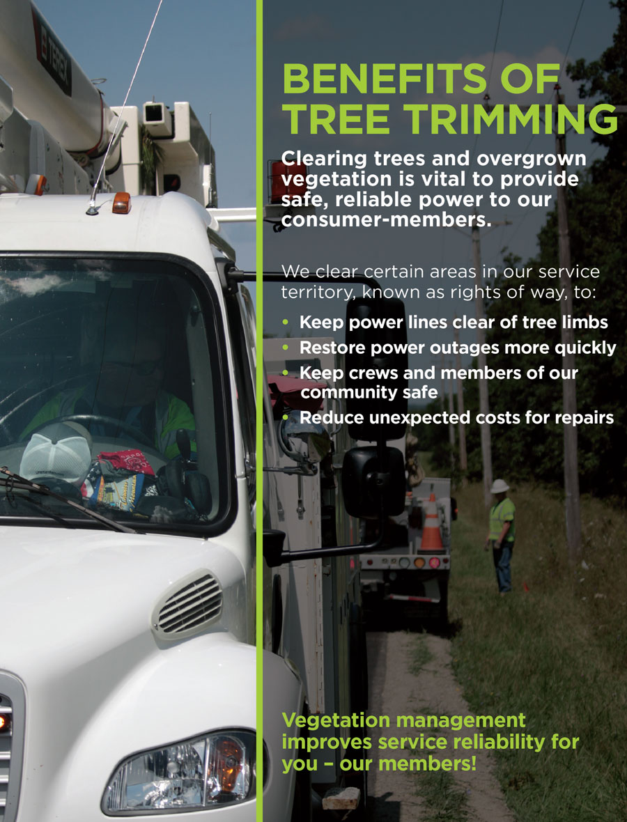 Benefits of Tree Trimming
