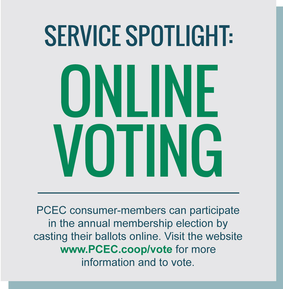 Service Spotlight Online Voting