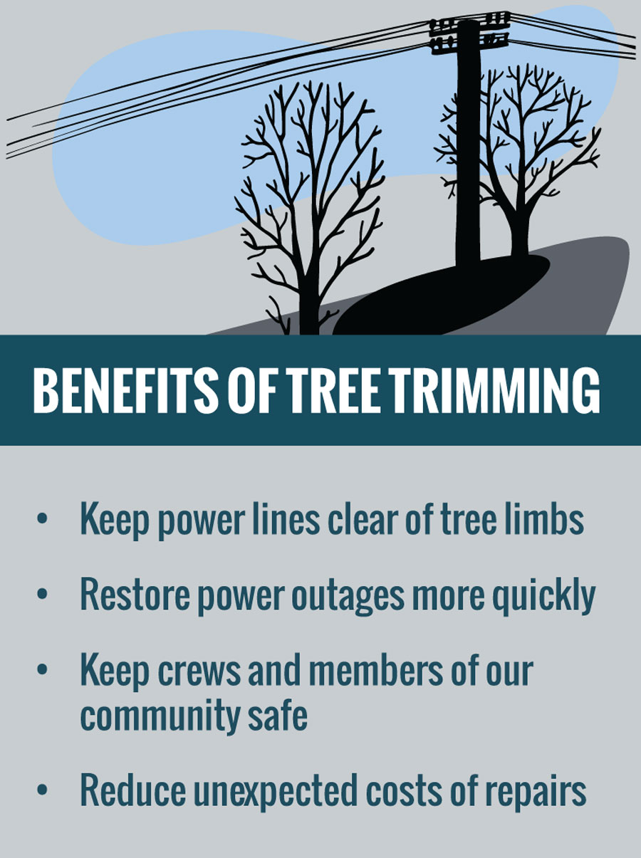 Benefits Of Tree Trimming