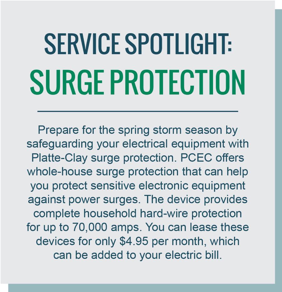 Service Spotlight Surge Protection