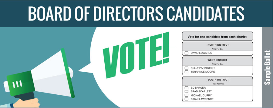 Board Of Directors Candidates