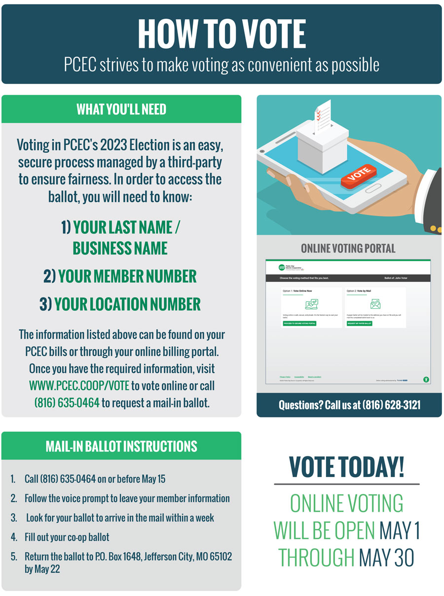How To Vote