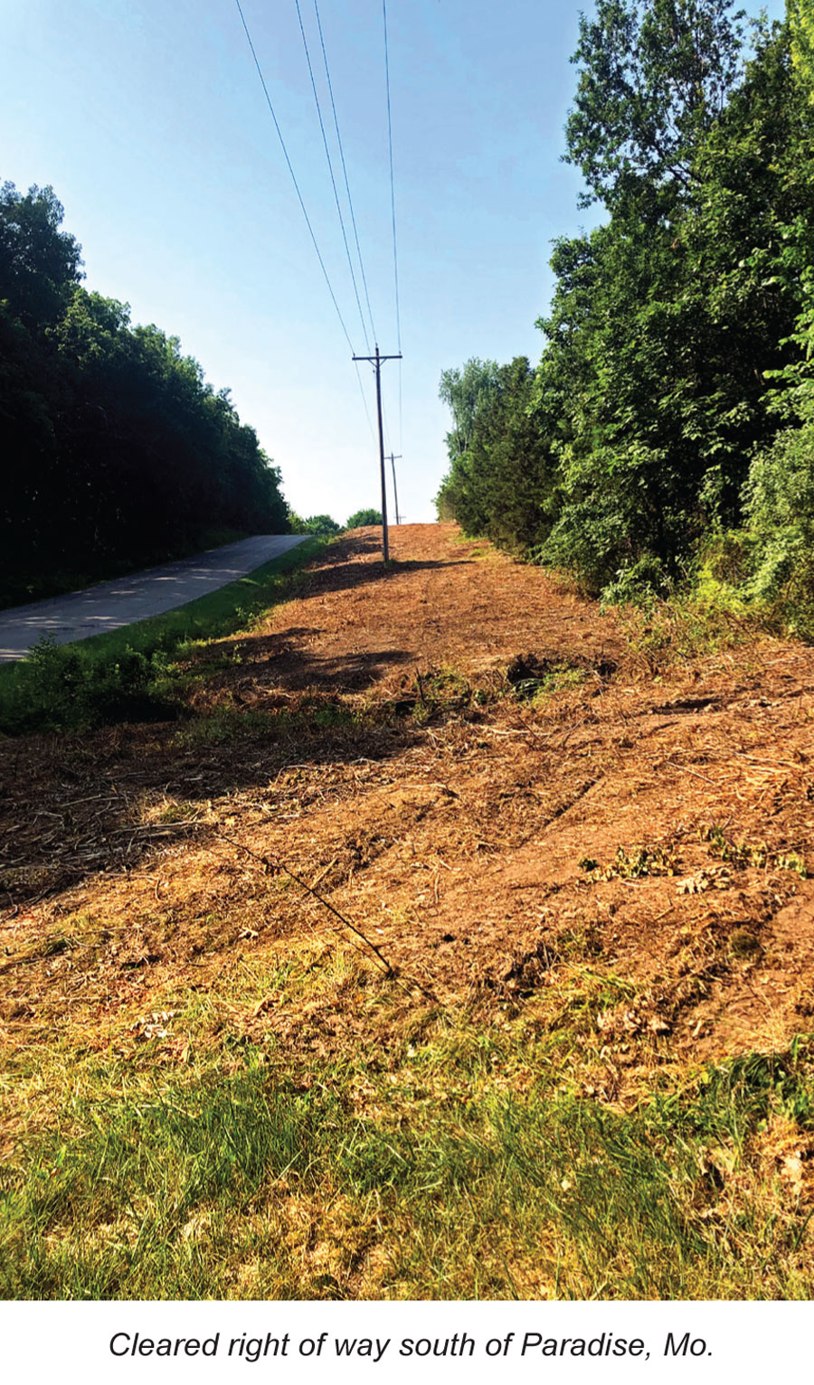 Cleared Right of Way South of Paradise Mo.
