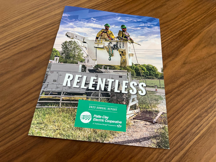 View The Annual Report