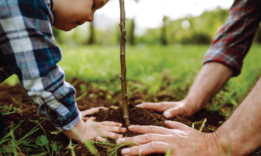 PCEC Arbor Day Member Tree Giveaway