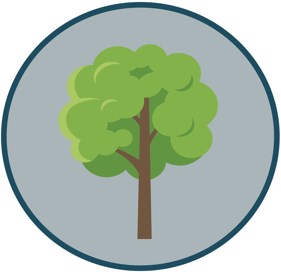 Tree Icon