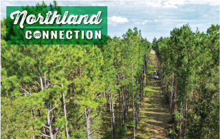 Northland Connection November 2024