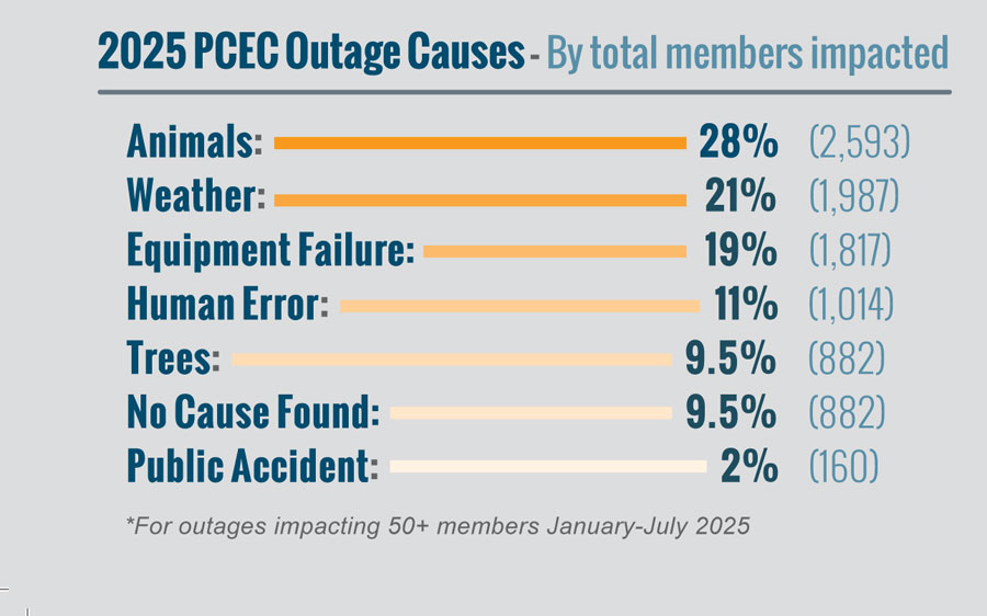 PCEC Outage Causes 2025