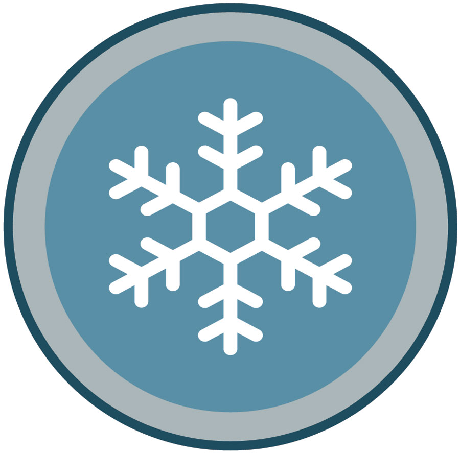 Snowflake