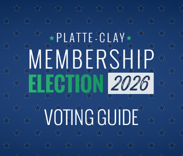 2026 Voting Guide Graphic