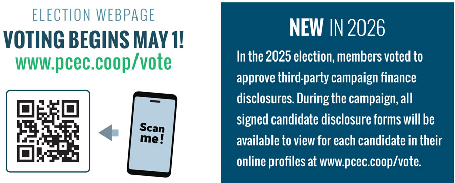 Election Web Page